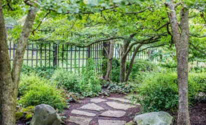 lägga sten i trädgården