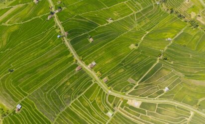 Hur mycket får man bygga på en tomt