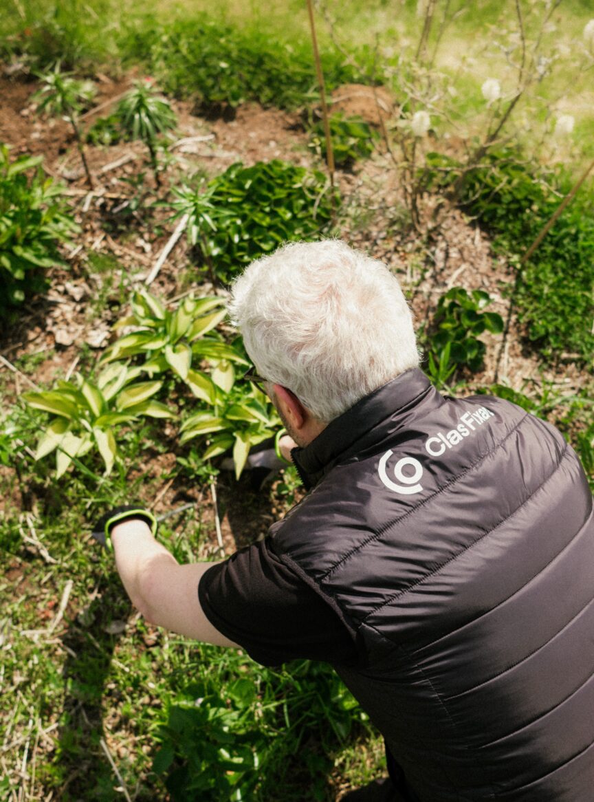 rensa ogräs verktyg