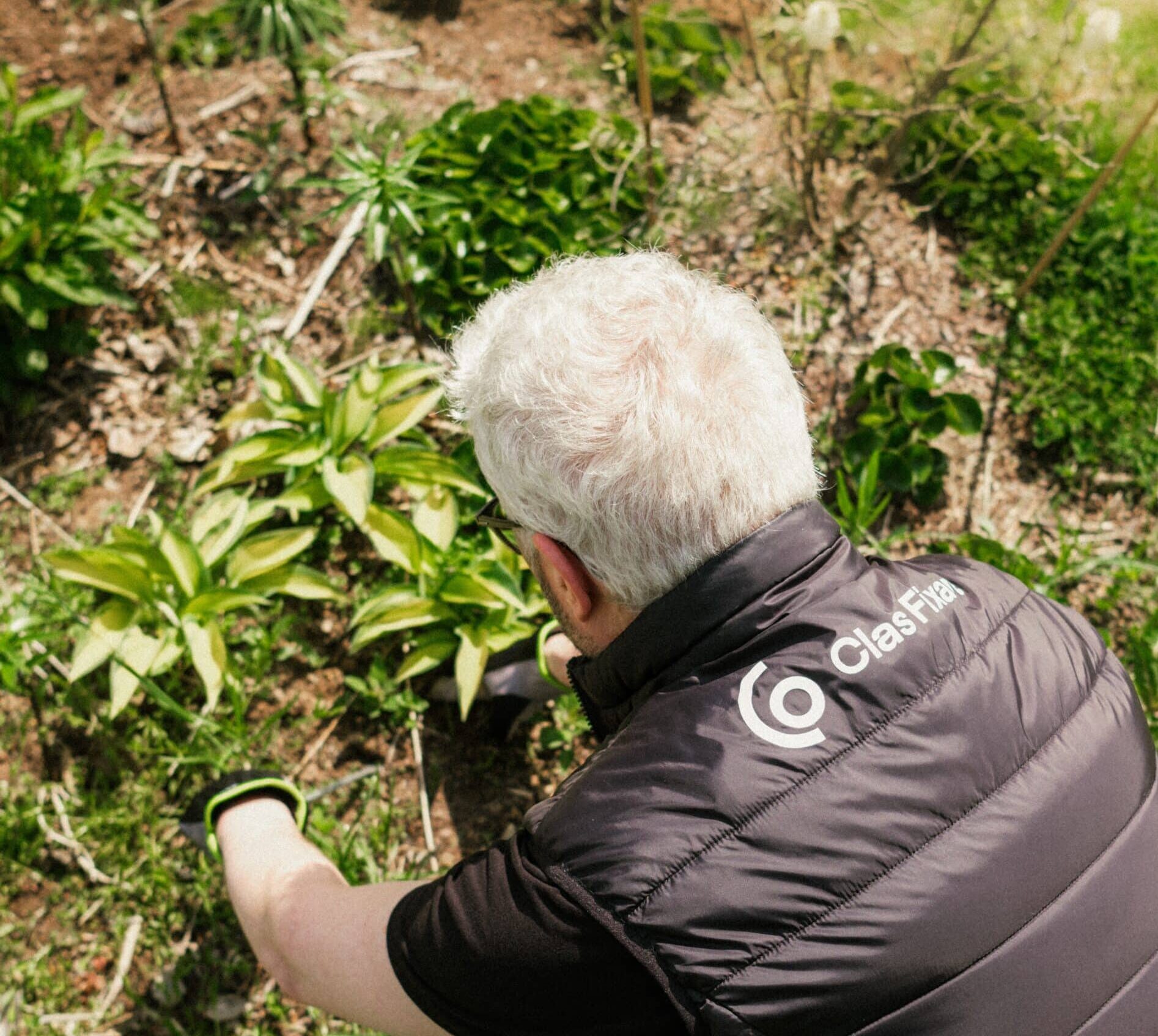 rensa ogräs verktyg