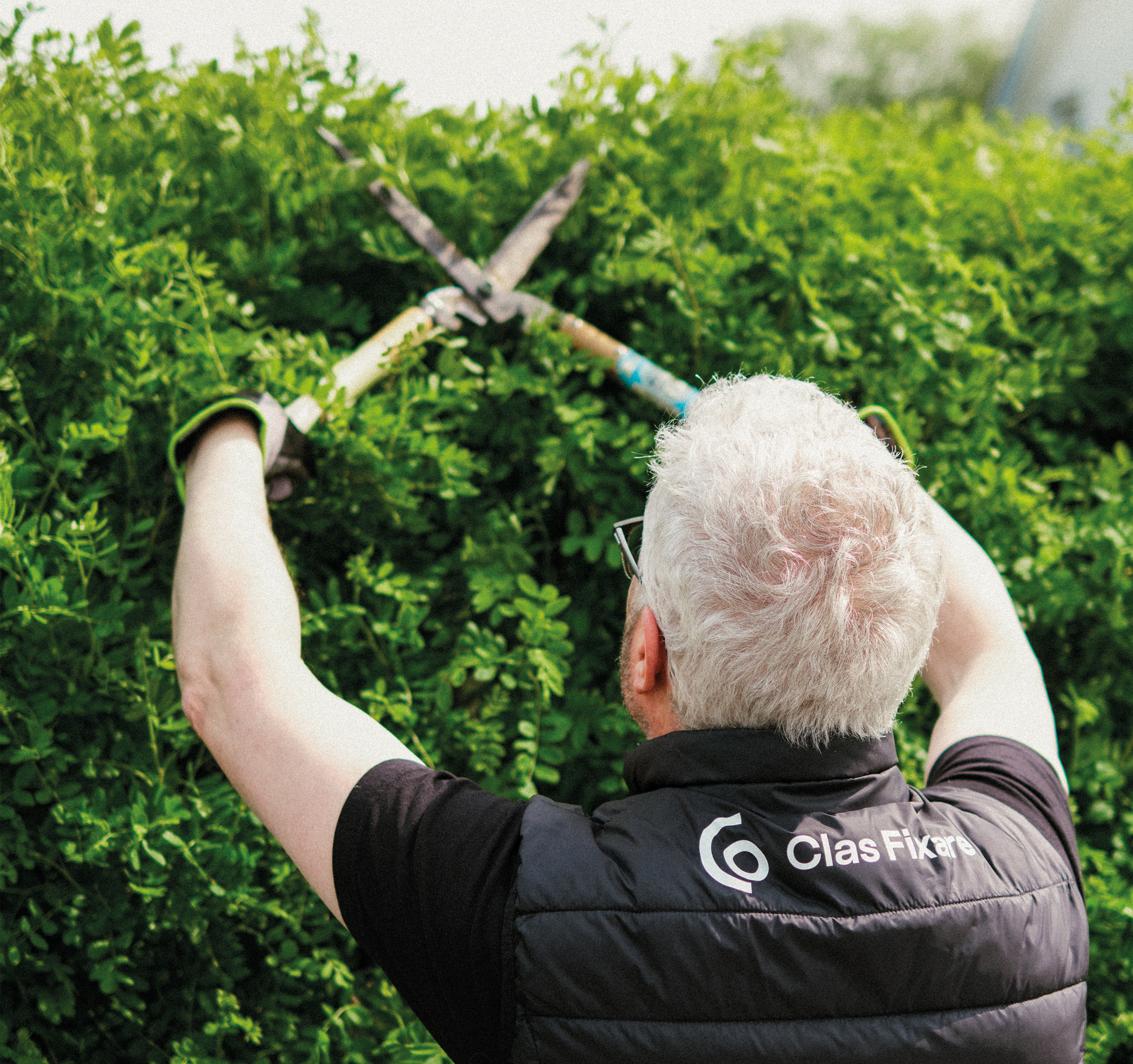 Clas Fixare hjälper till med häckklippning och en rad andra trädgårdssysslor så du får den bästa trädgården