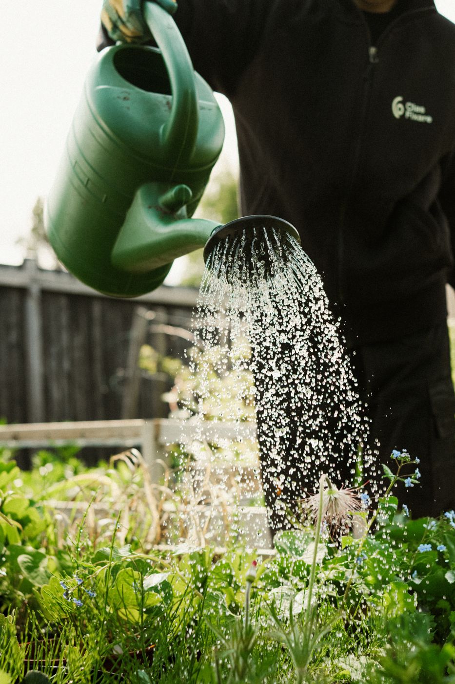 Ansök om rutavdrag när du anlitar hushållsnära tjänster som bevattning av trädgård och gräsmatta